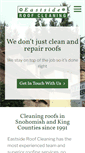 Mobile Screenshot of eastsideroofcleaning.com